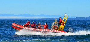 A whale watching tour sets out for adventure off the coast of Victoria, BC.